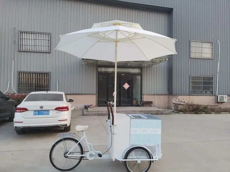 ice cream bike for sale