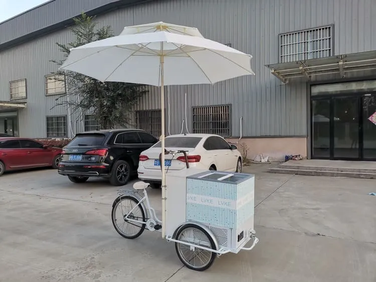 ice cream bike with freezer for sale